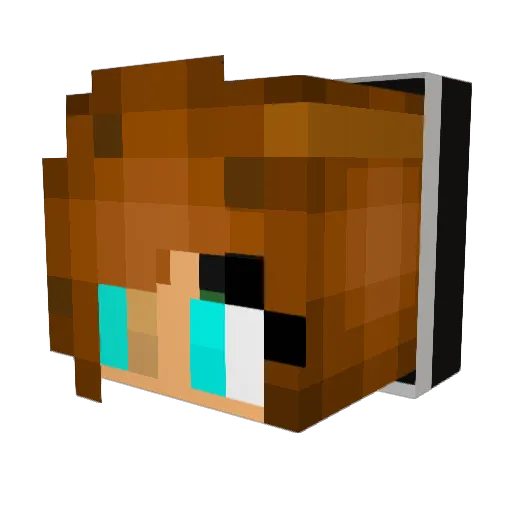 Dandeliondog Minecraft avatar head, 3D render