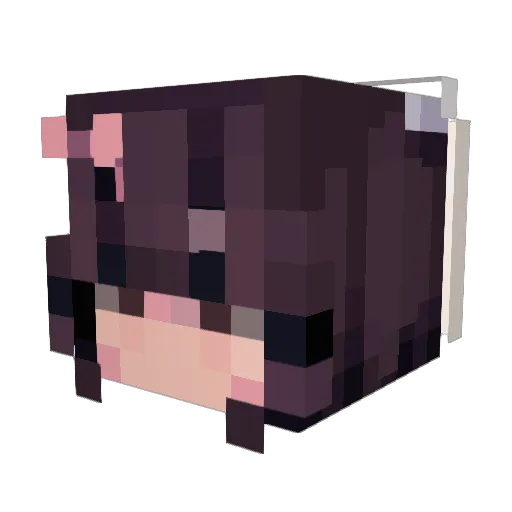 Dandelionpatrix Minecraft avatar head, 3D render