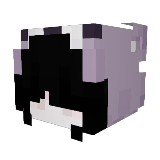 Dandelorn Minecraft avatar head, 3D render