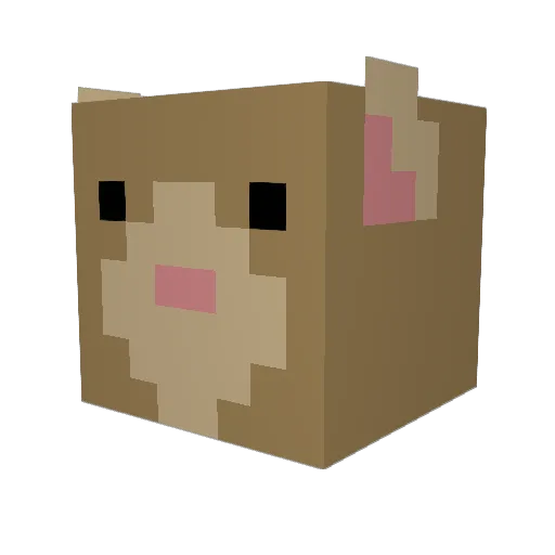 Dandoo Minecraft avatar head, 3D render