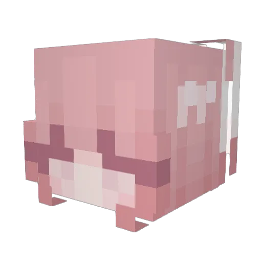 DandyLionHeart3 Minecraft avatar head, 3D render