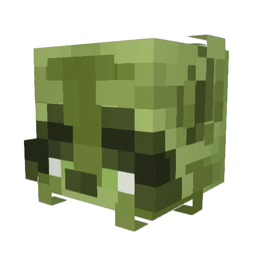 DandyZombie35 Minecraft avatar head, 3D render