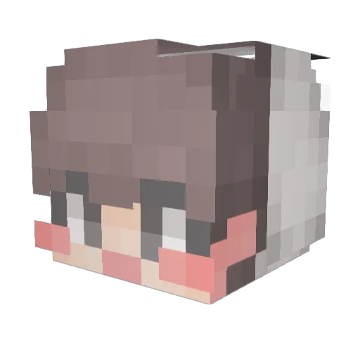 Dandy_heewon Minecraft avatar head, 3D render