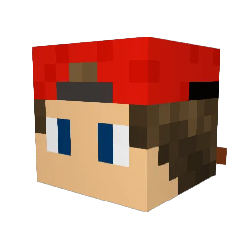 Dane07 Minecraft avatar head, 3D render
