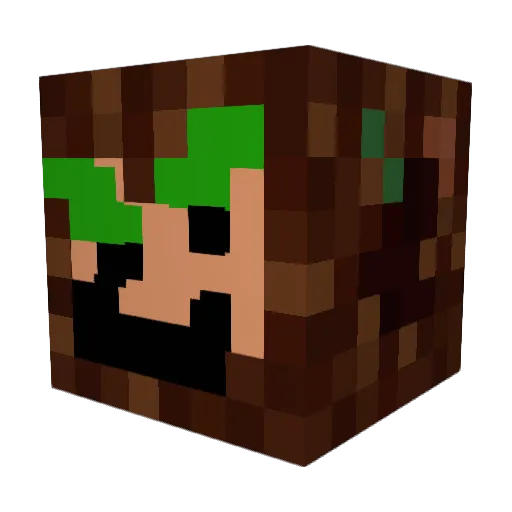 DaneTarnation Minecraft avatar head, 3D render