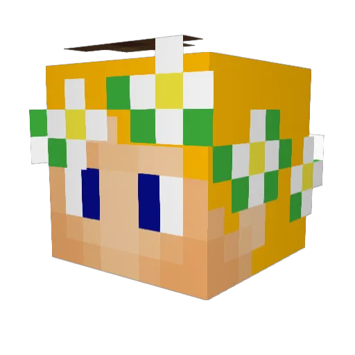 Danedrot Minecraft avatar head, 3D render