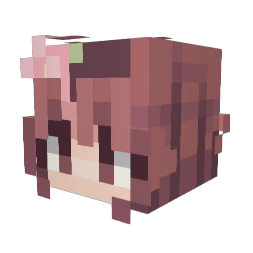 Daneeshx Minecraft avatar head, 3D render