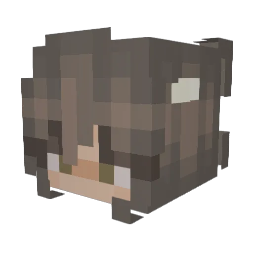 Danesmemanx Minecraft avatar head, 3D render