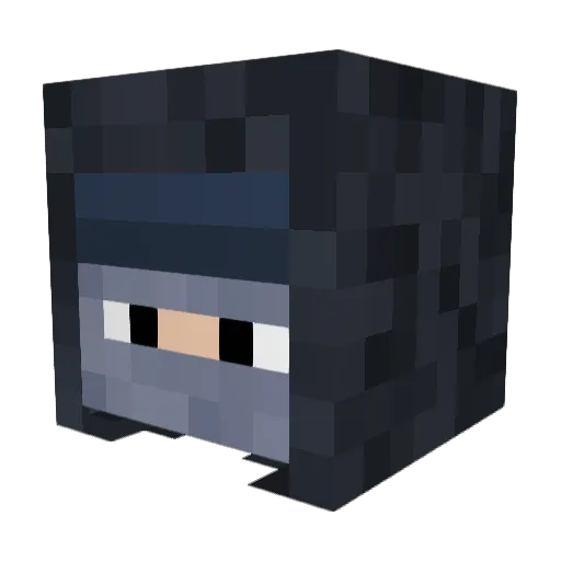 Daneyboy01 Minecraft avatar head, 3D render
