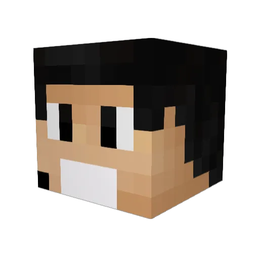 Danfish990 Minecraft avatar head, 3D render