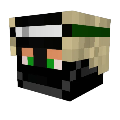 Danger15 Minecraft avatar head, 3D render