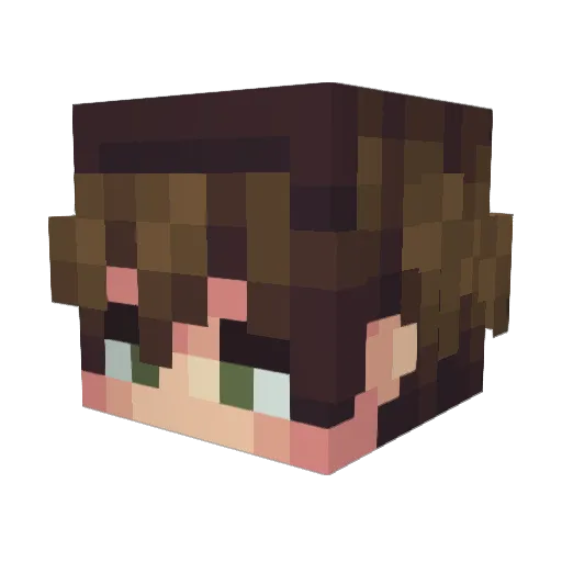 DangerCanPlay Minecraft avatar head, 3D render
