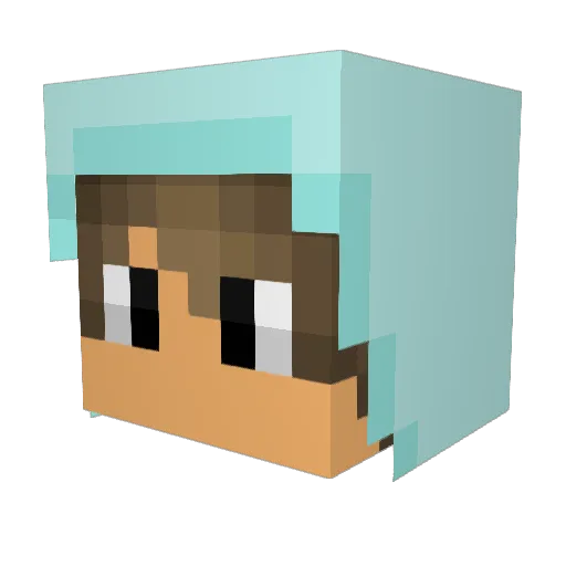 DangerDest Minecraft avatar head, 3D render