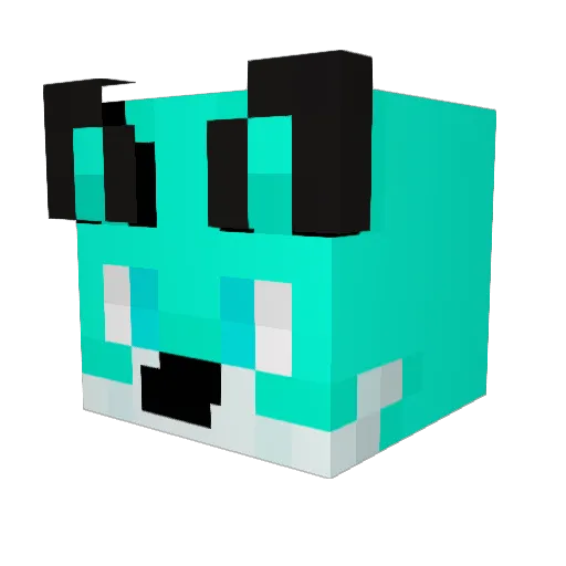DangerGamer125 Minecraft avatar head, 3D render
