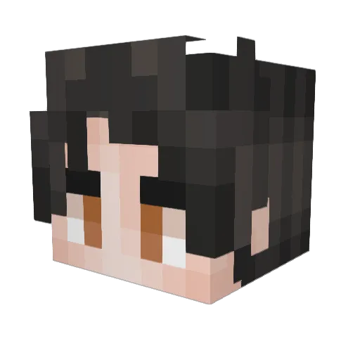 DangerHunter81 Minecraft avatar head, 3D render