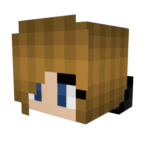 DangerP6 Minecraft avatar head, 3D render