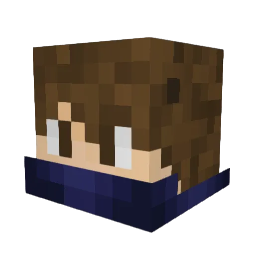 DangerRanger343 Minecraft avatar head, 3D render