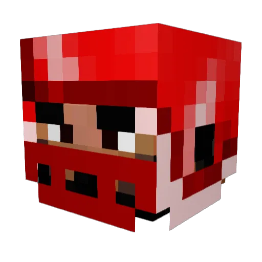 Danger_Killer132 Minecraft avatar head, 3D render