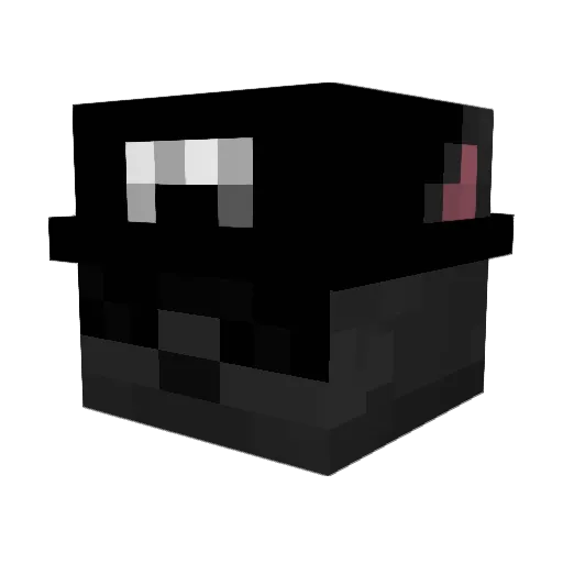 Danger_Noodle99 Minecraft avatar head, 3D render