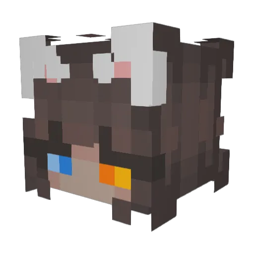 Dangercat_ Minecraft avatar head, 3D render