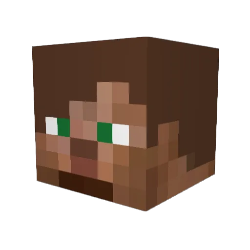 Dangerfrank Minecraft avatar head, 3D render
