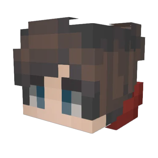 Dangerhayden Minecraft avatar head, 3D render