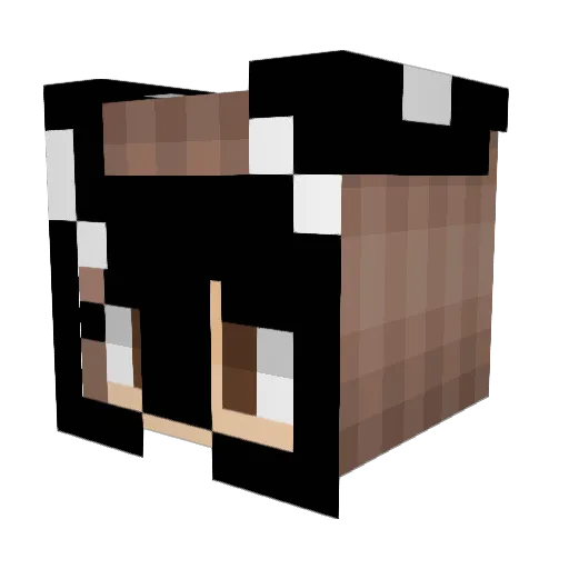 DangerousWomann Minecraft avatar head, 3D render