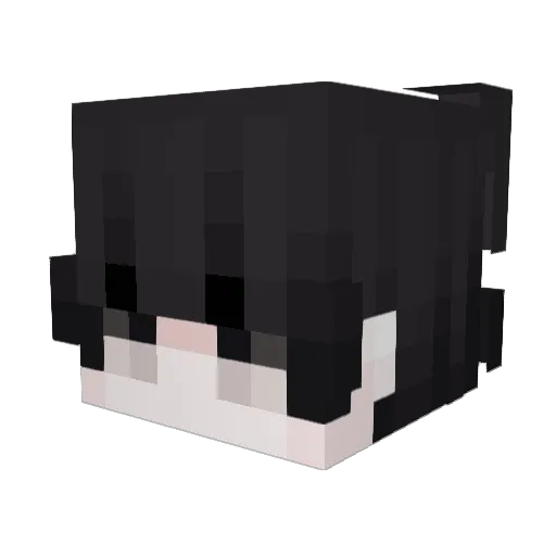 Danghell Minecraft avatar head, 3D render