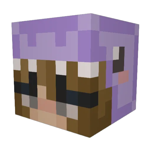 DangoBean Minecraft avatar head, 3D render