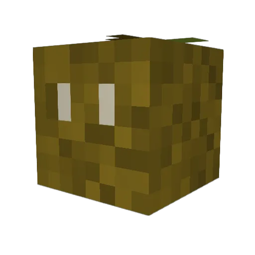 DangoMelon Minecraft avatar head, 3D render