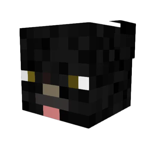 Dangofruit Minecraft avatar head, 3D render