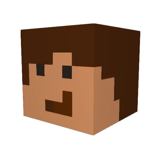 Dani11400 Minecraft avatar head, 3D render
