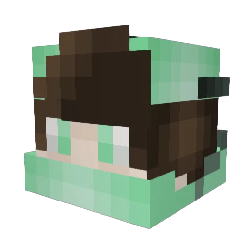 Dani1217 Minecraft avatar head, 3D render