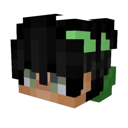 Dani2779 Minecraft avatar head, 3D render