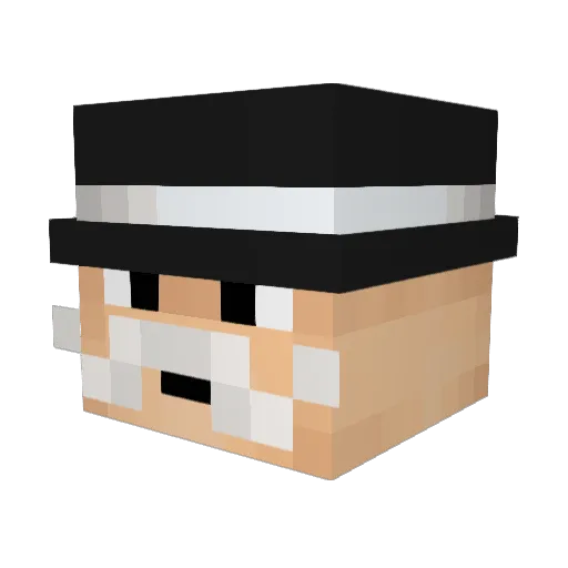 Dani47 Minecraft avatar head, 3D render