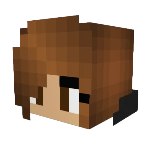 Dani802 Minecraft avatar head, 3D render