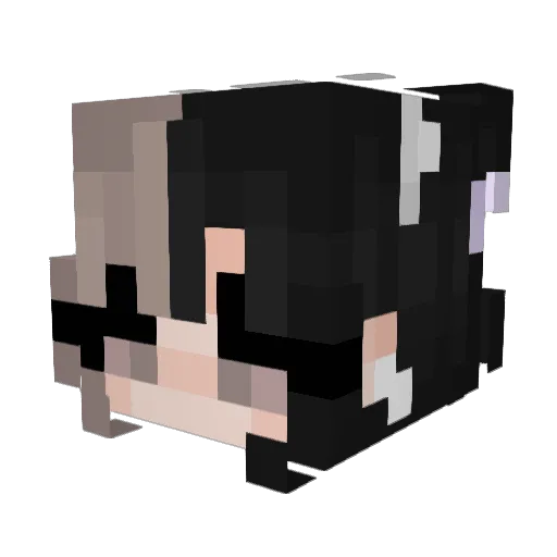 DaniAraj Minecraft avatar head, 3D render