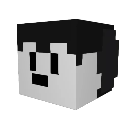DaniBrz Minecraft avatar head, 3D render