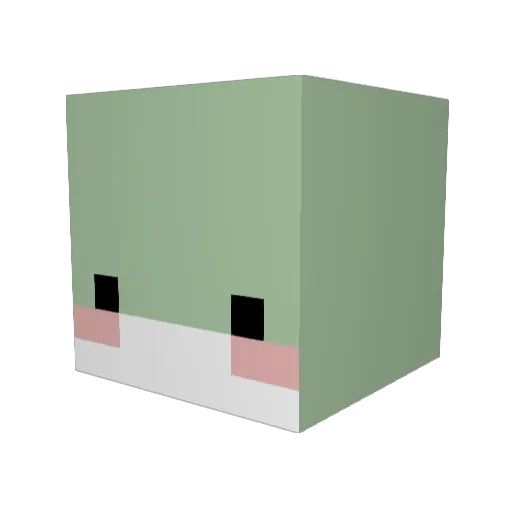 DaniCN Minecraft avatar head, 3D render