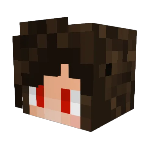 DaniCalero Minecraft avatar head, 3D render
