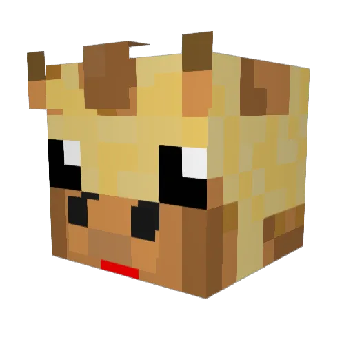 DaniD05H Minecraft avatar head, 3D render