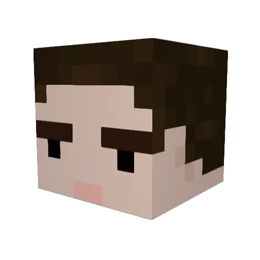 DaniDaKittyCat Minecraft avatar head, 3D render