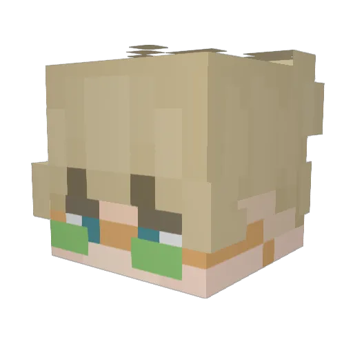 DaniDeleto Minecraft avatar head, 3D render