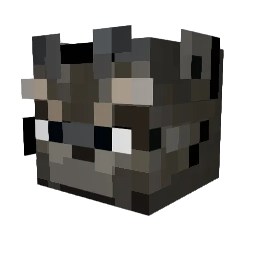 DaniEditz Minecraft avatar head, 3D render