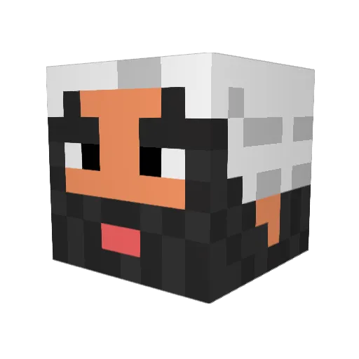 DaniFlash Minecraft avatar head, 3D render