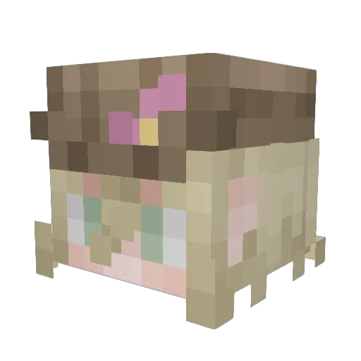 DaniJFG Minecraft avatar head, 3D render