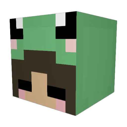 DaniJay08 Minecraft avatar head, 3D render