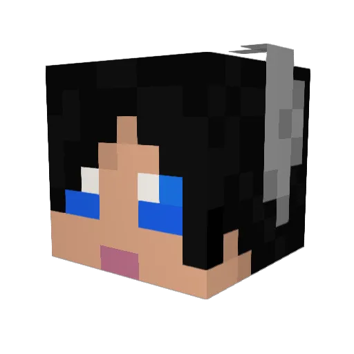 DaniK2 Minecraft avatar head, 3D render
