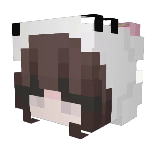 DaniLovs Minecraft avatar head, 3D render