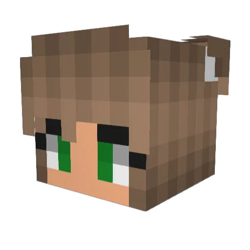 DaniMarkee2002 Minecraft avatar head, 3D render